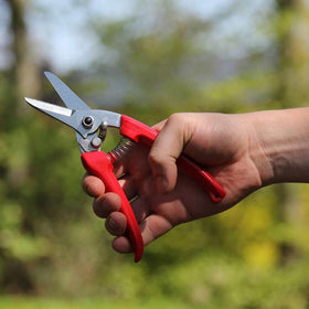 ARS pruning shears feature an ergonomic red non-slip grip for comfortable pruning.