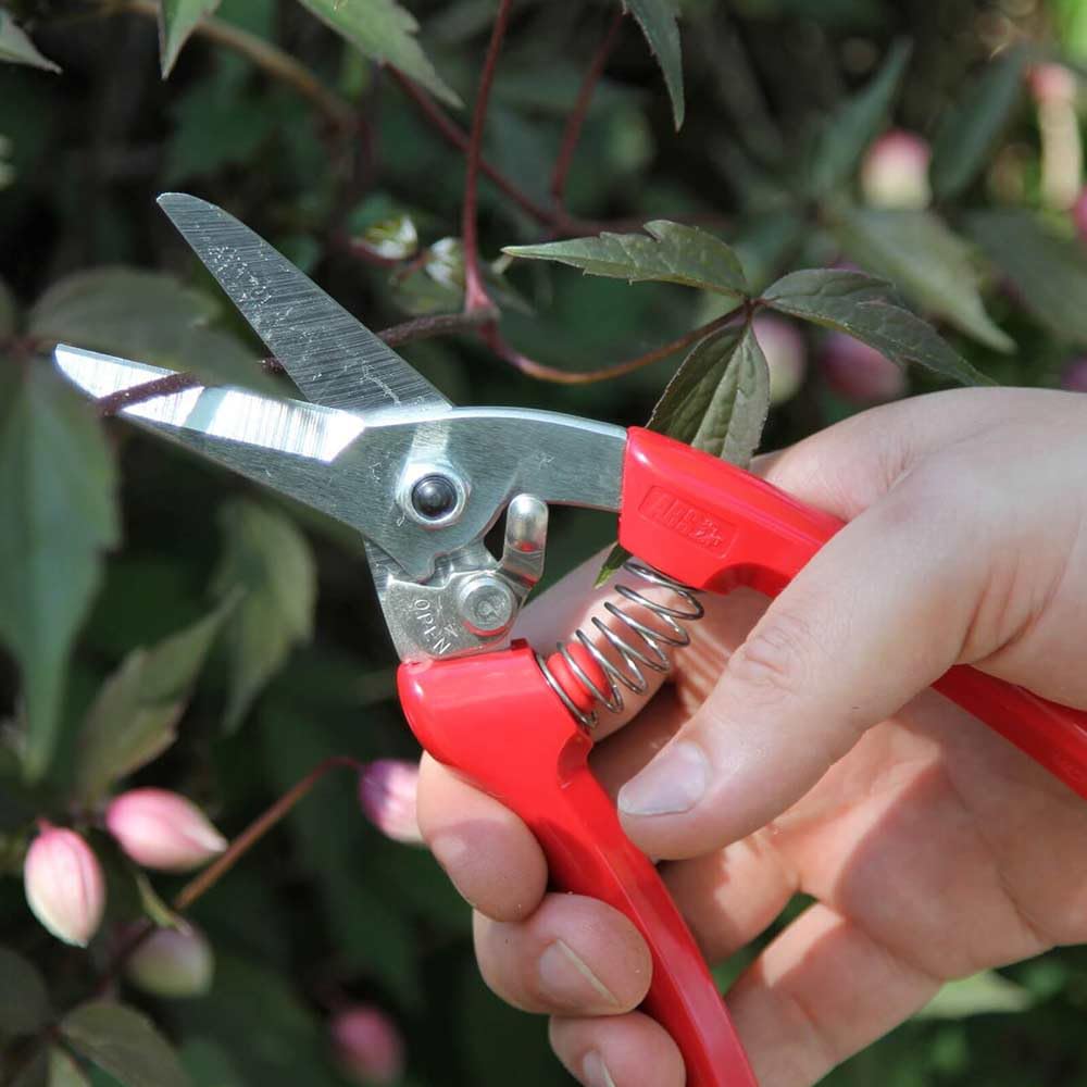 Hard chrome finish on ARS shears resists rust and wipes clean.