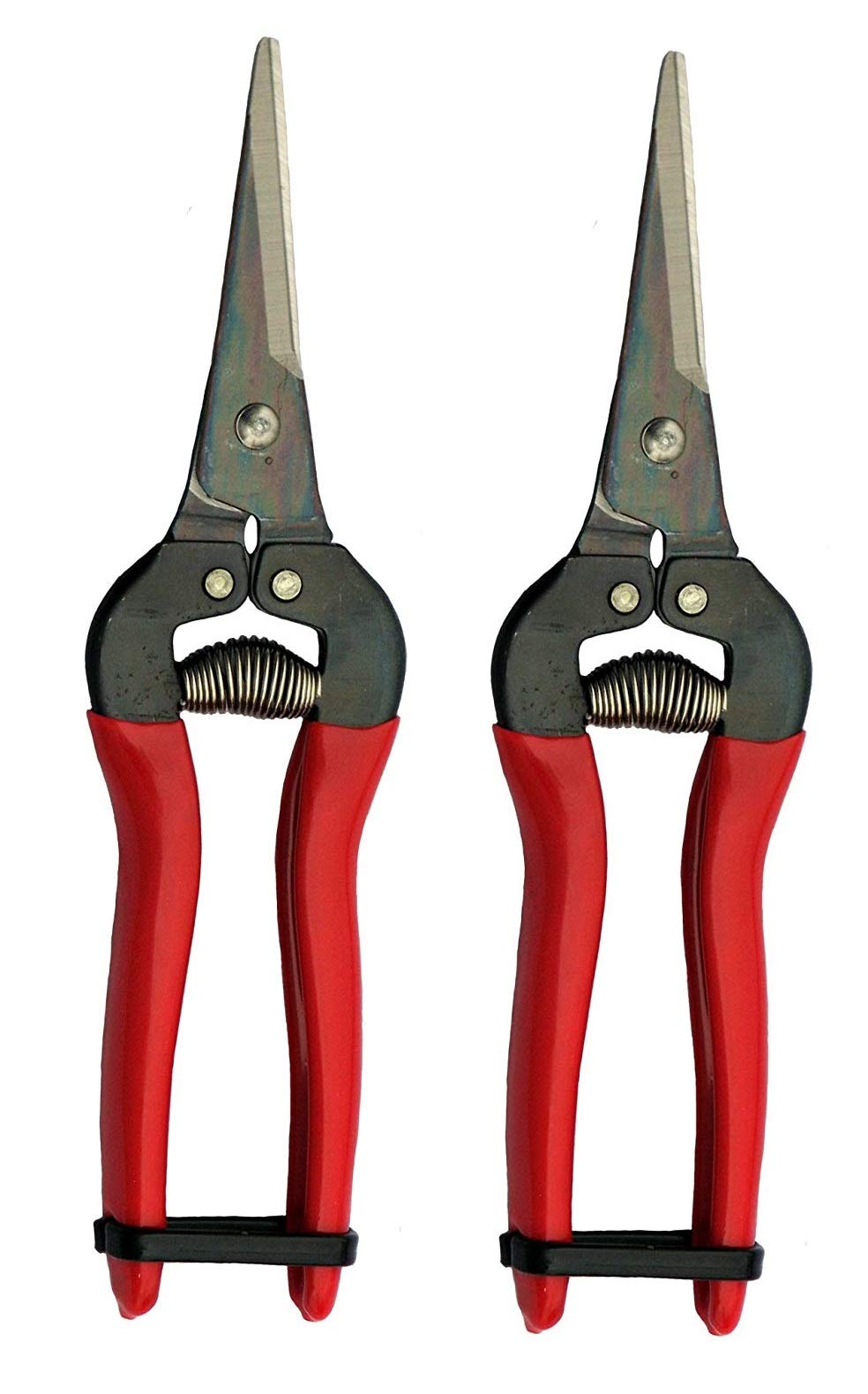 ARS HP-300L needle-nose fruit pruner in a two-pack with ergonomic handles for precise harvests.