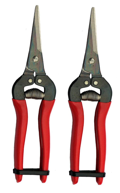 ARS HP-300L needle-nose fruit pruner in a two-pack with ergonomic handles for precise harvests.
