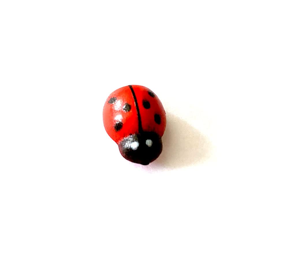 Art&Beauty decorative ladybugs brighten jars and containers