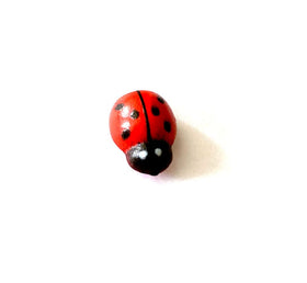 Art&Beauty decorative ladybugs brighten jars and containers