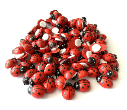 Art&Beauty wooden ladybug stickers for leaves and garden decor