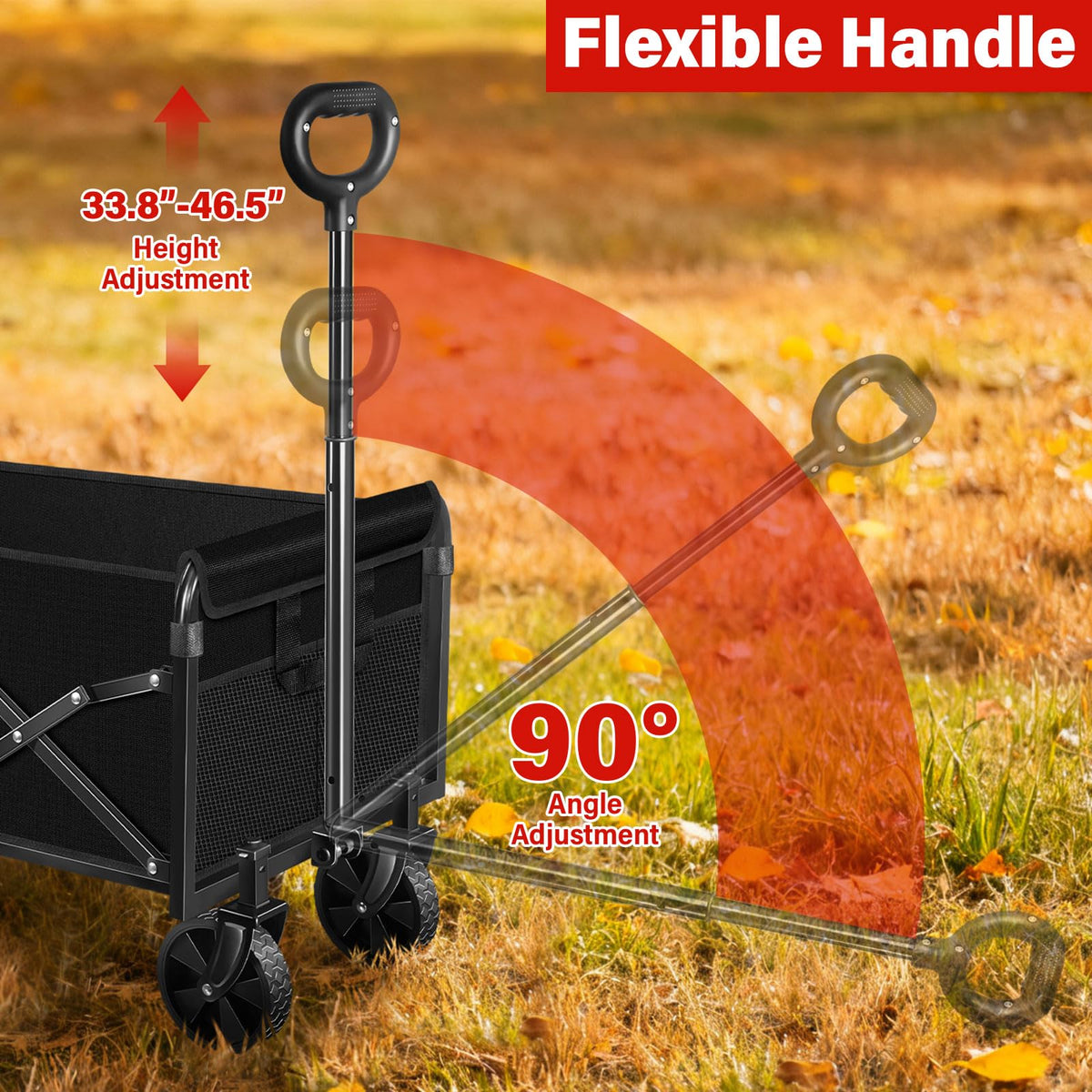 ARTIST'S DREAM 360 lb capacity supports groceries and gear with ease.
