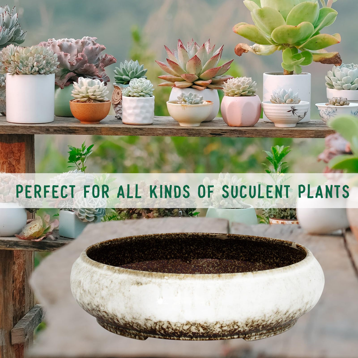 ARTKETTY easy-clean glazed ceramic pot for low-maintenance gardening