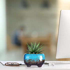 ARTKETTY succulent pots add a modern touch to living rooms and workspaces