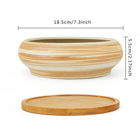 ARTKETTY succulent pot with removable saucer to keep surfaces clean.