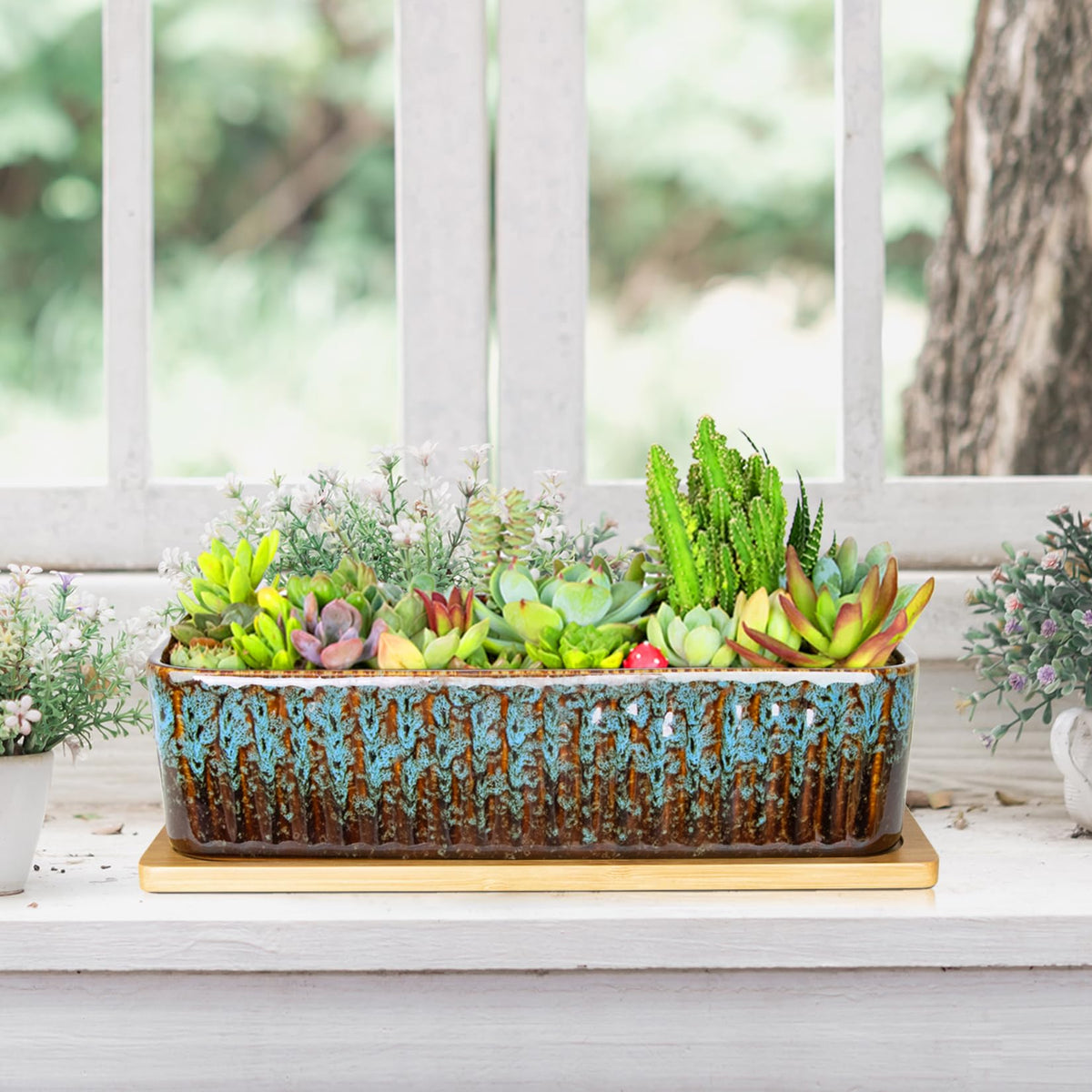 ARTKETTY eleven-point-eight-inch succulent pot for small plants and bonsai