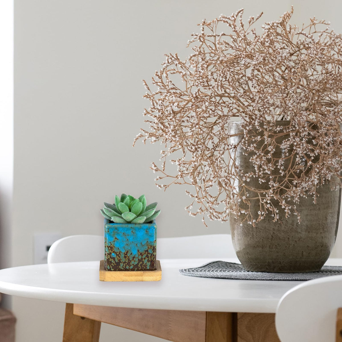 ARTKETTY gift-ready succulent pot pack for holidays or housewarming