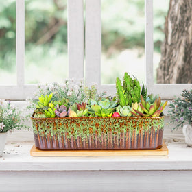 ARTKETTY gift-ready succulent pot adds modern décor to homes and offices.