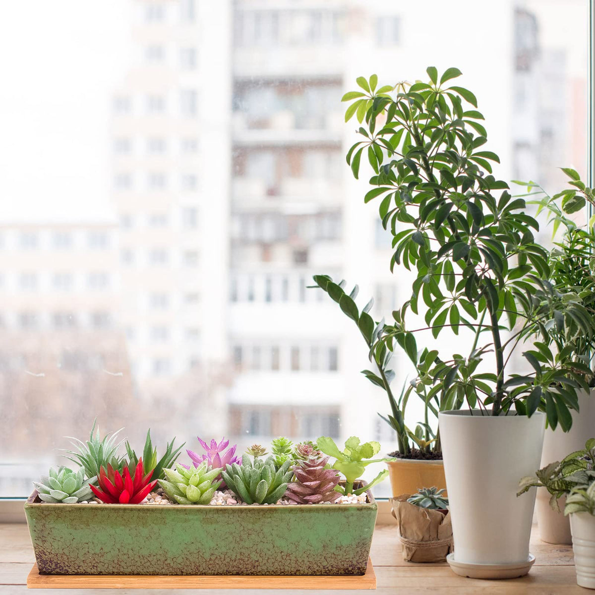 Artketty modern desktop planter for succulents and small plants