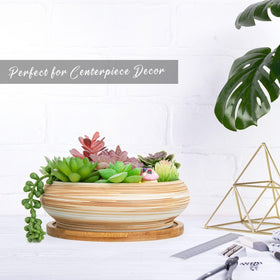 ARTKETTY planter on desk or windowsill adds life and color.