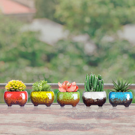 ARTKETTY decorative pots brighten desks, shelves, and bedrooms with a fresh glaze finish