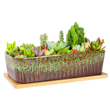 ARTKETTY rectangle succulent pot 12inch with modern ceramic finish for stylish desk display.