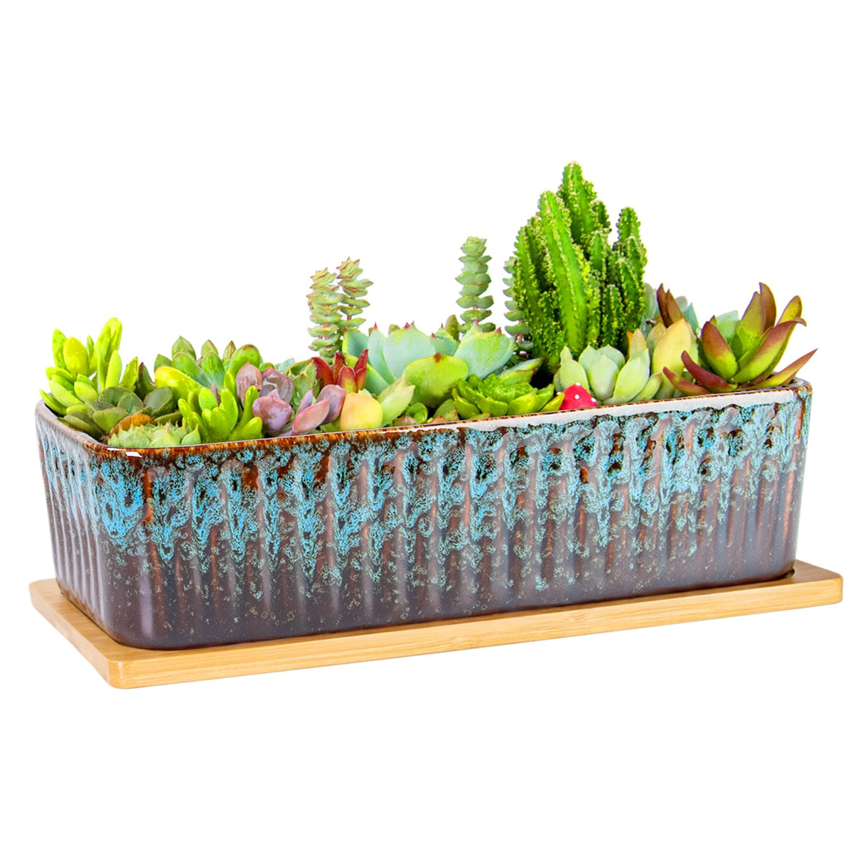 ARTKETTY rectangle succulent pot on a sunny window creates a modern display