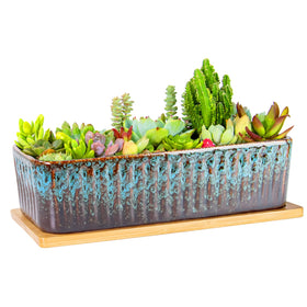 ARTKETTY rectangle succulent pot on a sunny window creates a modern display