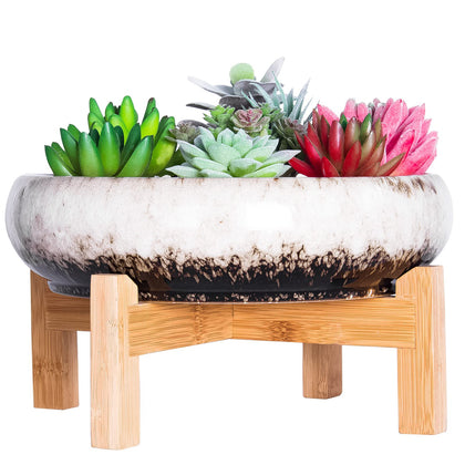 ARTKETTY 10-inch bonsai display succulent pot enhances interior style.