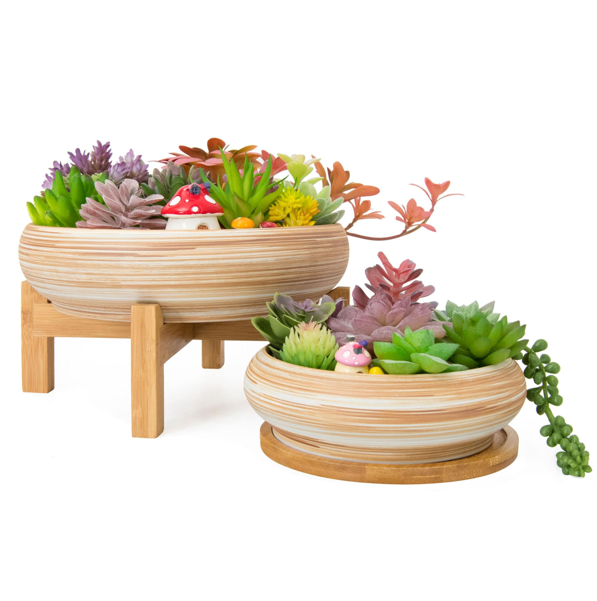 ARTKETTY succulent pot 7.3-inch diameter with space for a variety of succulents.
