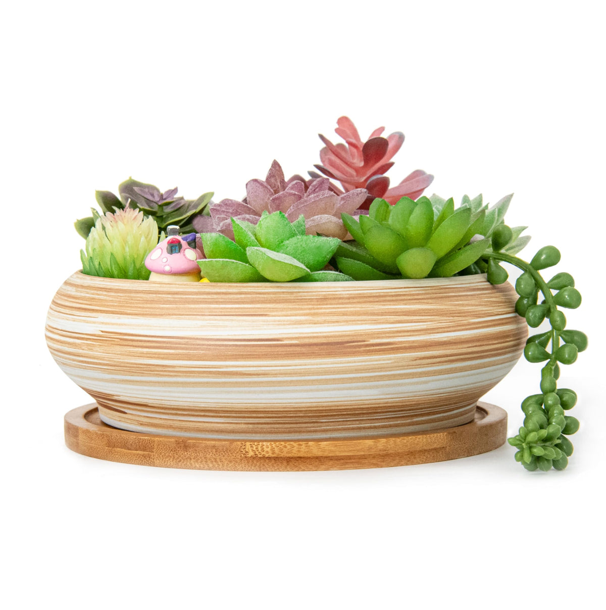 ARTKETTY ceramic succulent pot with drainage hole for healthy indoor plants.