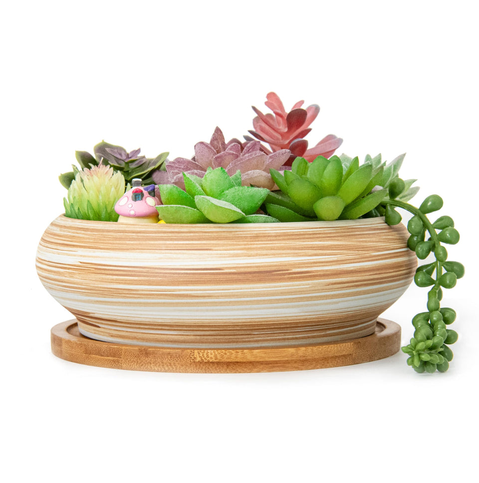 ARTKETTY ceramic succulent pot with drainage hole for healthy indoor plants.