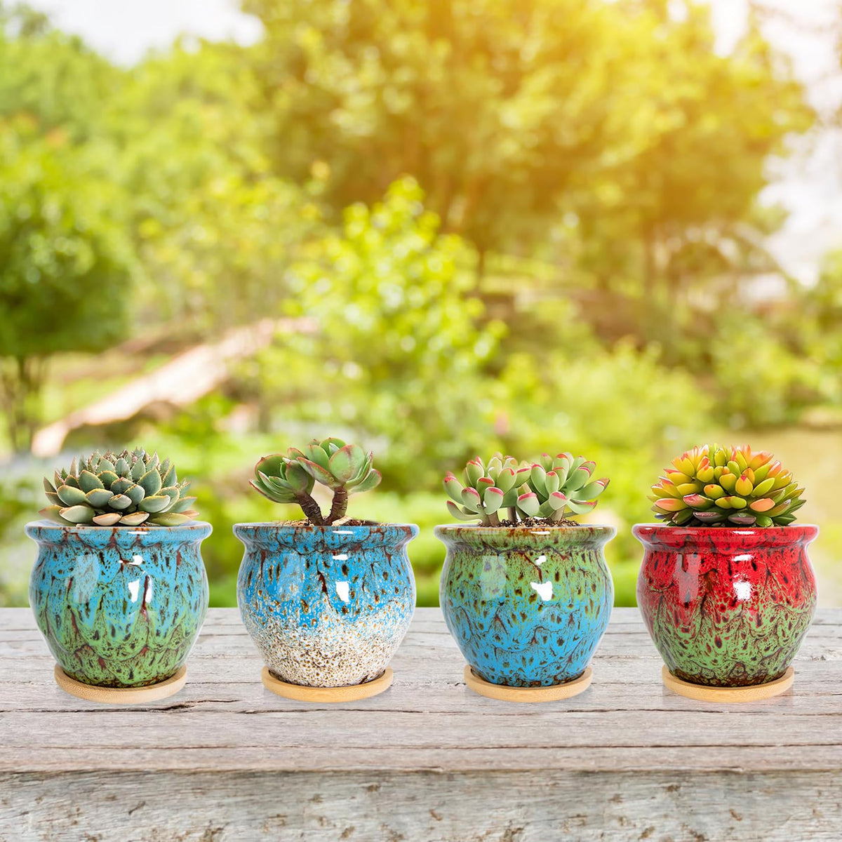 ARTKETTY gift-ready succulent pots set perfect for plant lovers.