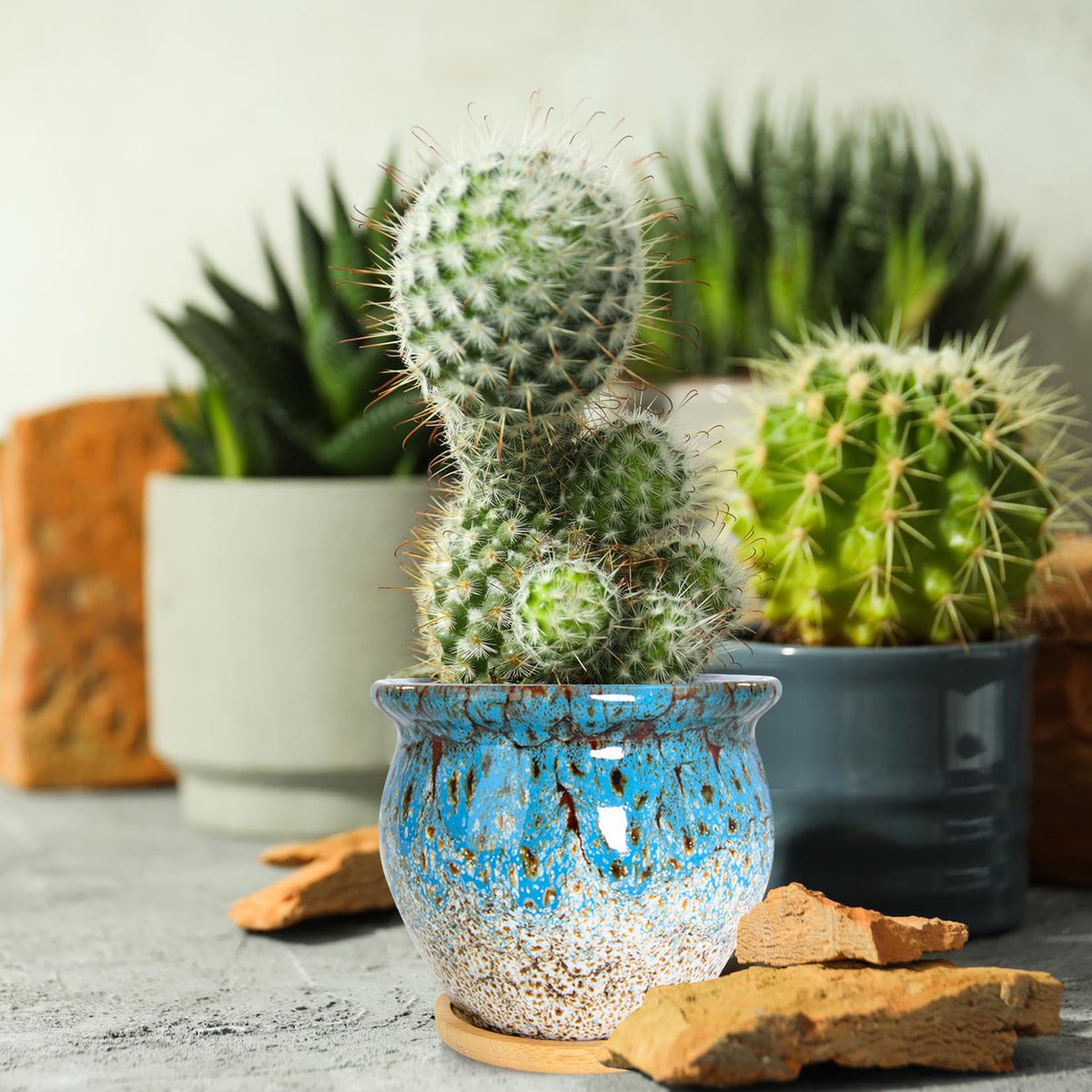 ARTKETTY succulent pots 4-pack with removable saucers keeps surfaces clean.