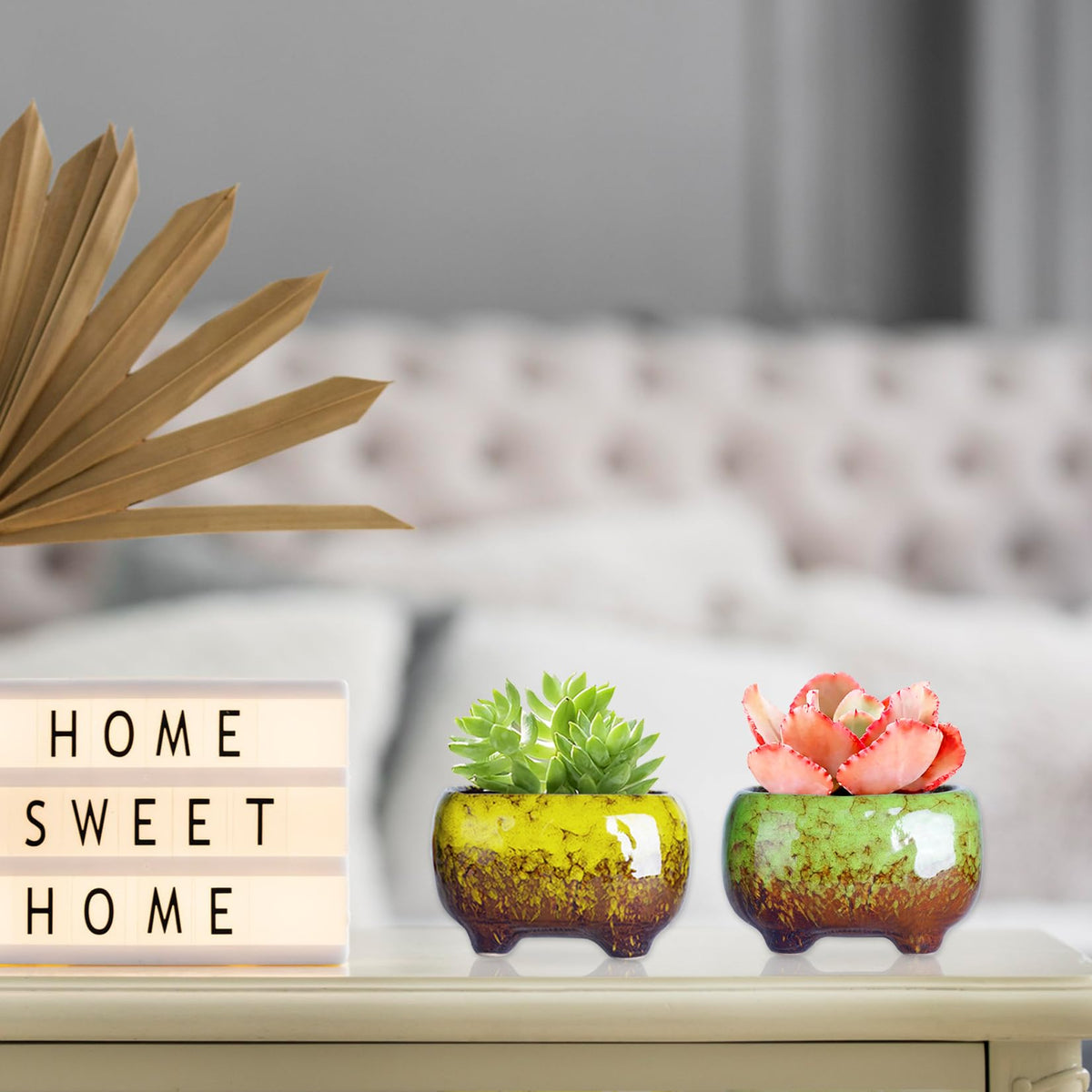 ARTKETTY 4.7-inch ceramic pot is perfect for small succulents