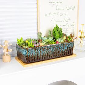 ARTKETTY window sill planter styled for contemporary home decor