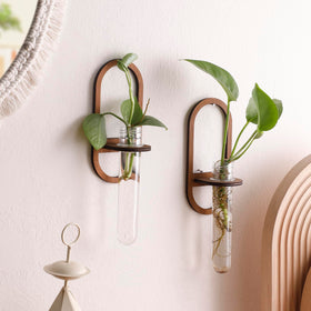 ArtLady clear test tubes reveal root development in hydroponic setups.