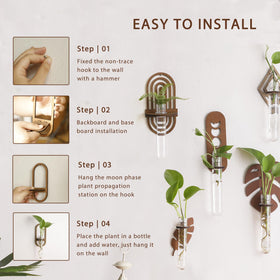 ArtLady hydroponics and cuttings display supports live plants with stylish ergonomics.