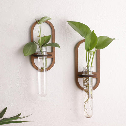 ArtLady propagation station wall mount wooden base showcases real root growth for cuttings.
