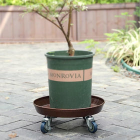 ARTLINE multi-use mobile tray demonstrates moving plants and lightweight decor