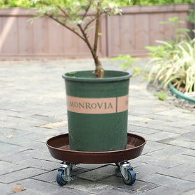 ARTLINE no-hole design protects floors while repositioning pots and decor.