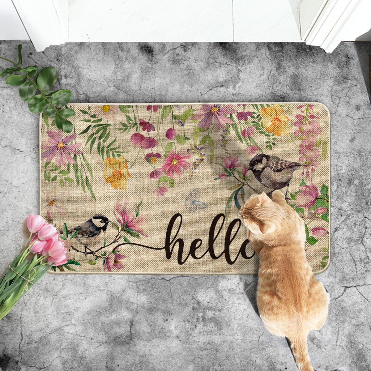 Artoid Mode low-profile doormat helps reduce trips while keeping dirt at bay.