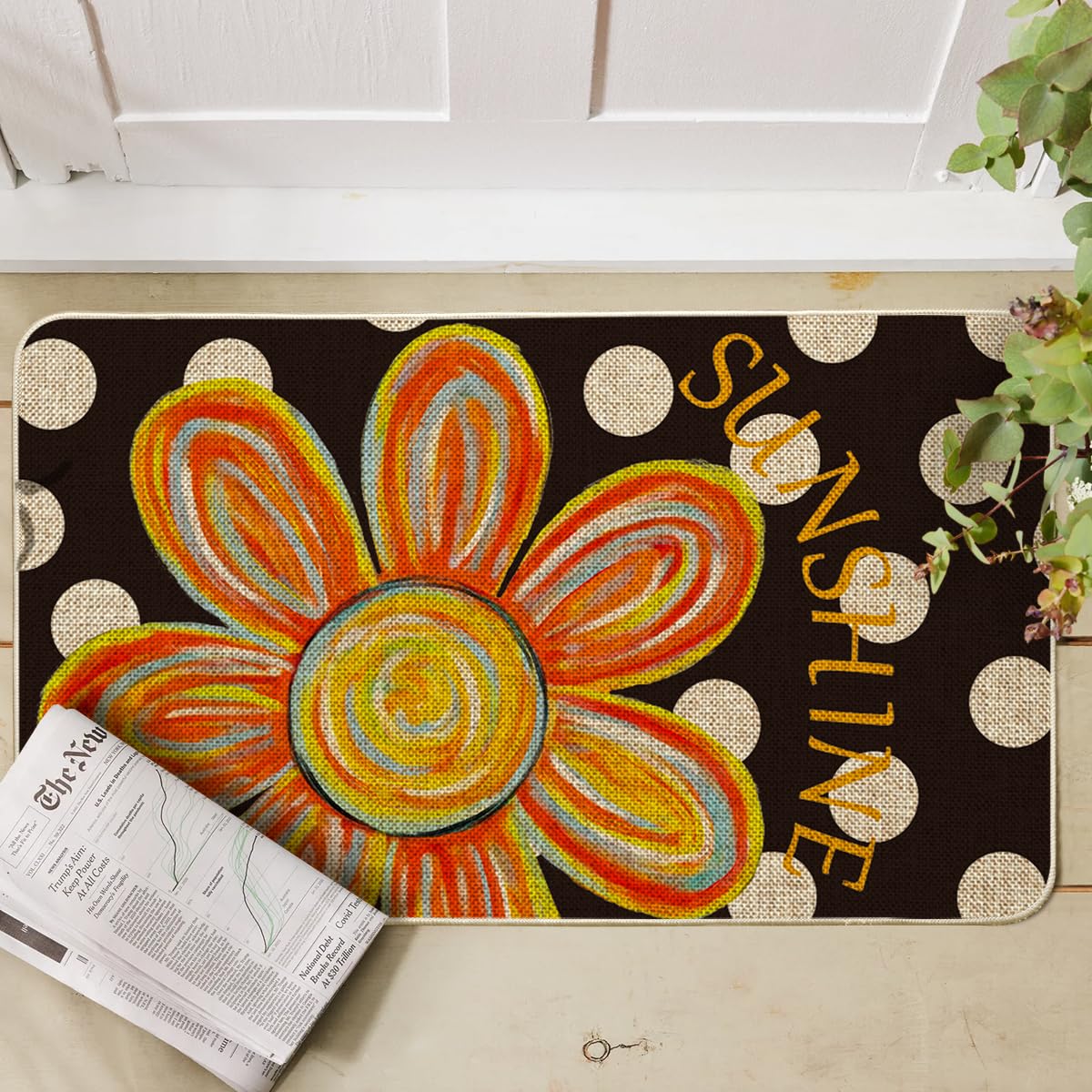Artoid Mode doormat in entryway showing indoor outdoor versatility year-round