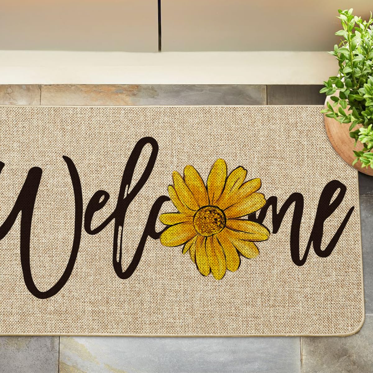 Artoid Mode 17x29 inch doormat ready for indoor outdoor use