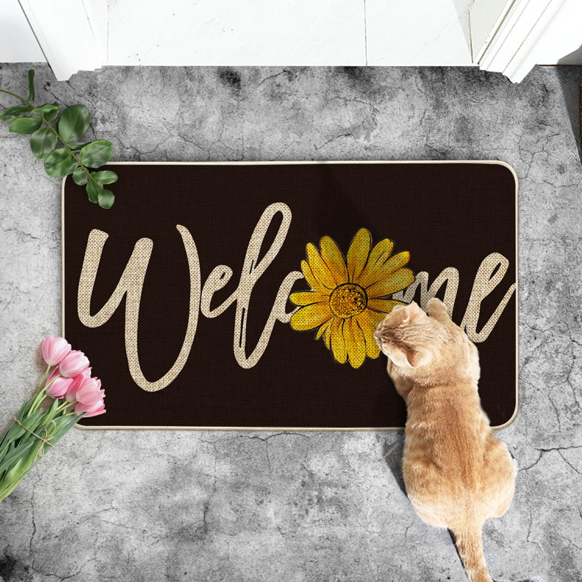 Artoid Mode doormat features non-slip rubber backing for safer outdoor use.