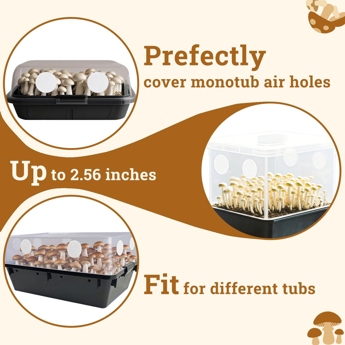 Artojoy filtration disk helps maintain humidity in fruiting chambers