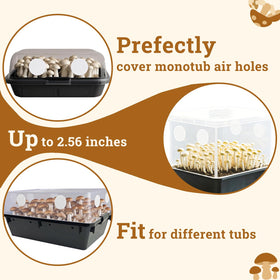 Artojoy filtration disk helps maintain humidity in fruiting chambers