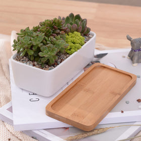 ARVINKEY bamboo tray complements ceramic planters for indoors