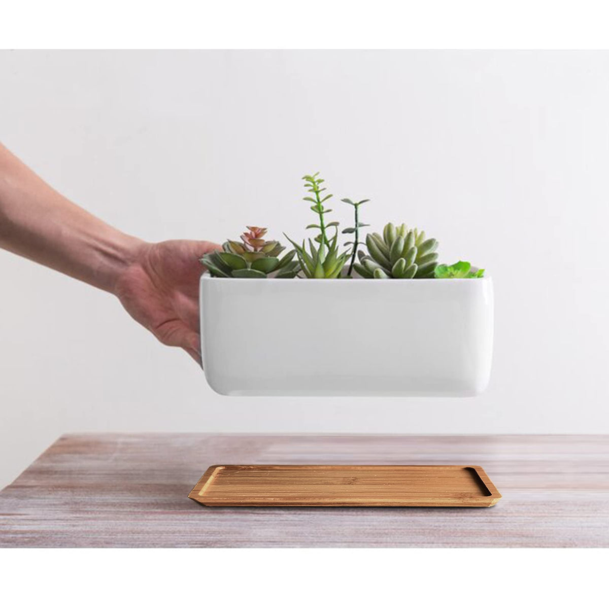 ARVINKEY compact planters ideal for office or kitchen decor