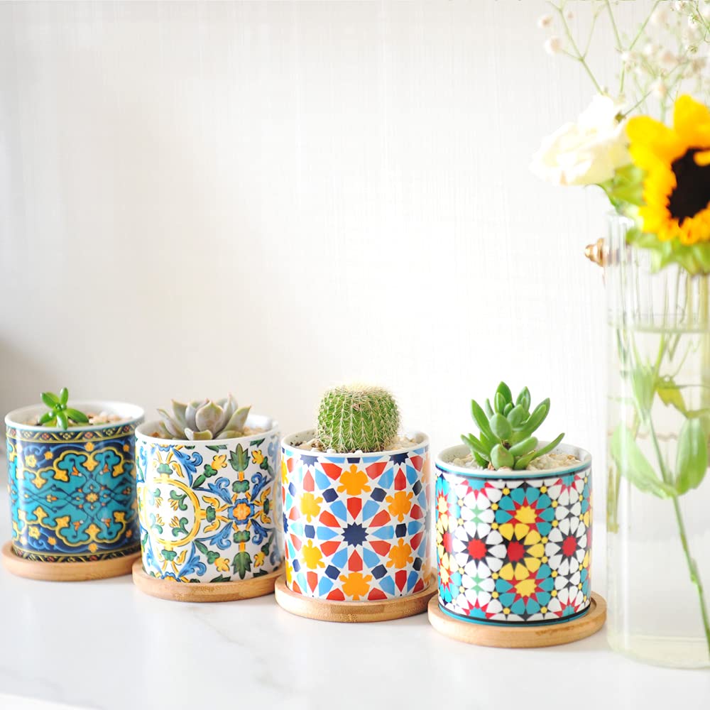 Ascrafter bamboo trays with Mandala pots keep excess water neatly collected.