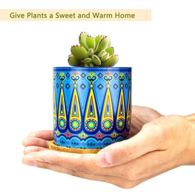 Ascrafter Bright color ceramic pot for small plant displays.