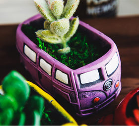 Ascrafter purple bus finish enhances bright, cheerful plant displays