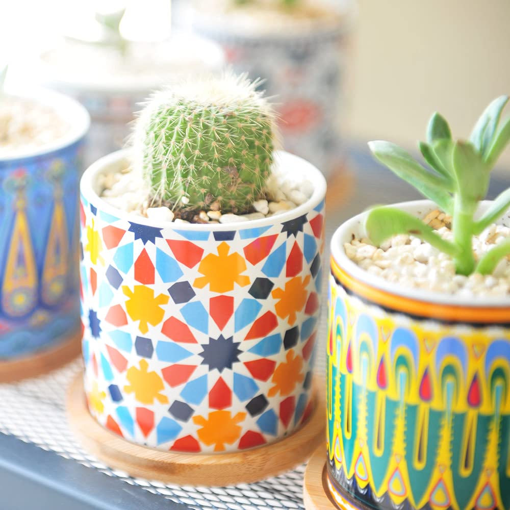 Ascrafter pots with drainage holes to prevent overwatering.