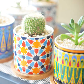 Ascrafter pots with drainage holes to prevent overwatering.