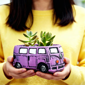 Ascrafter indoor-outdoor garden pot for compact greenery and small arrangements