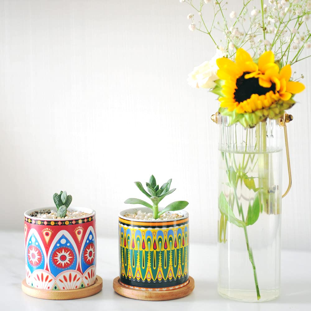 Ascrafter Indoor use succulent display suitable for home or office.