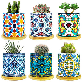 Ascrafter mandala succulent pot six-pack for stylish indoor display.