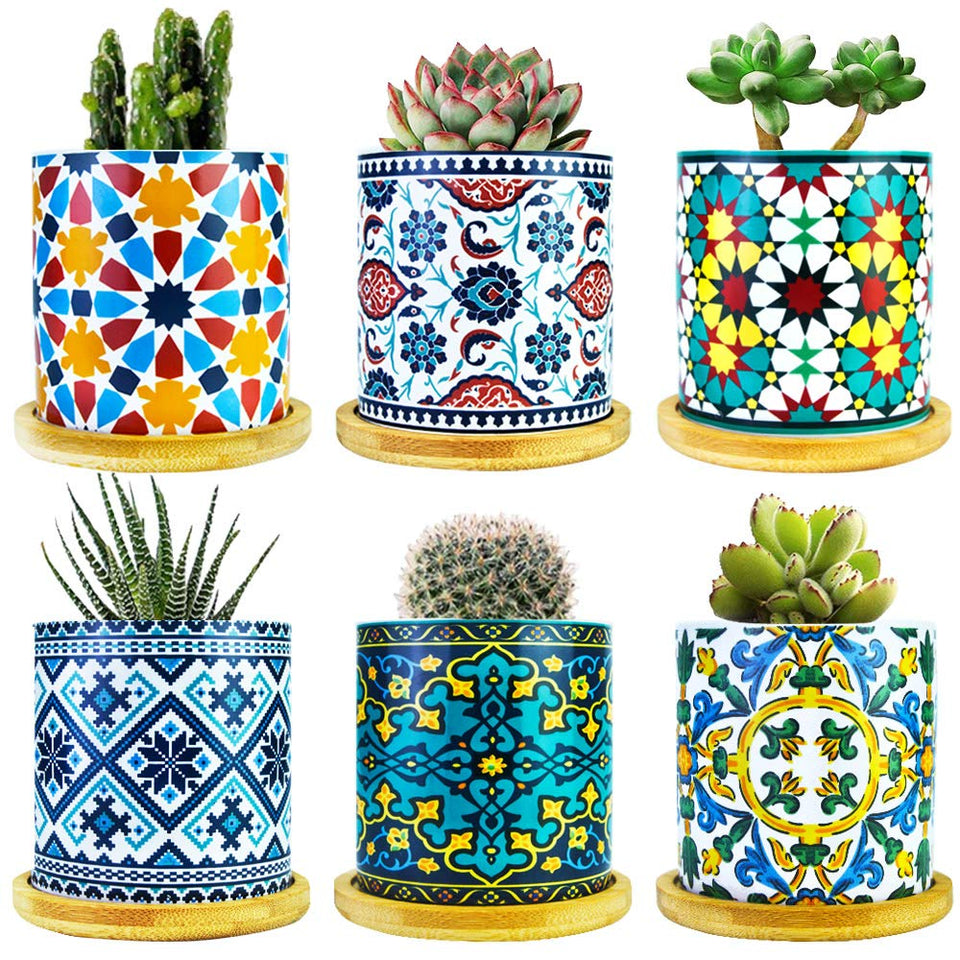 Ascrafter mandala succulent pot six-pack for stylish indoor display.
